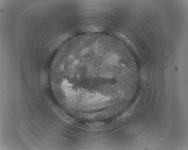 X0000076450359200610271830