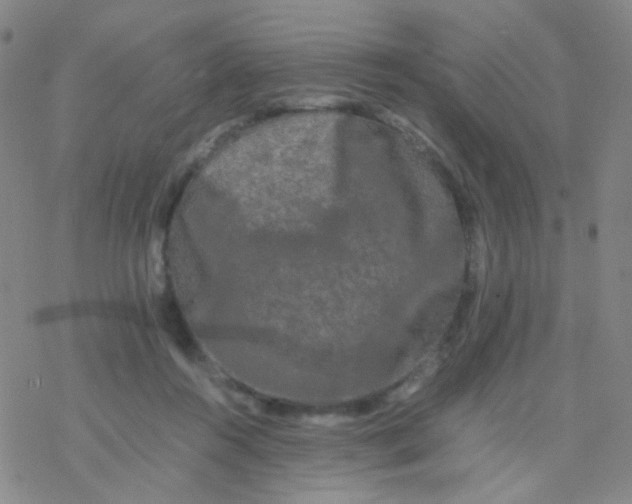 X0000076450360200610271830