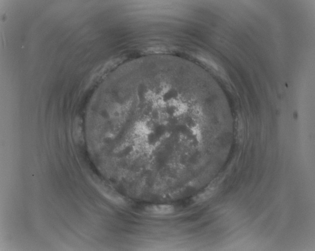 X0000076450361200610271830