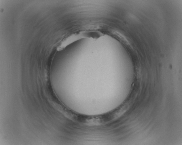 X0000076450362200610271830