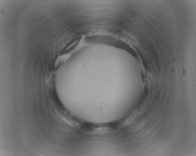 X0000076450364200610271830