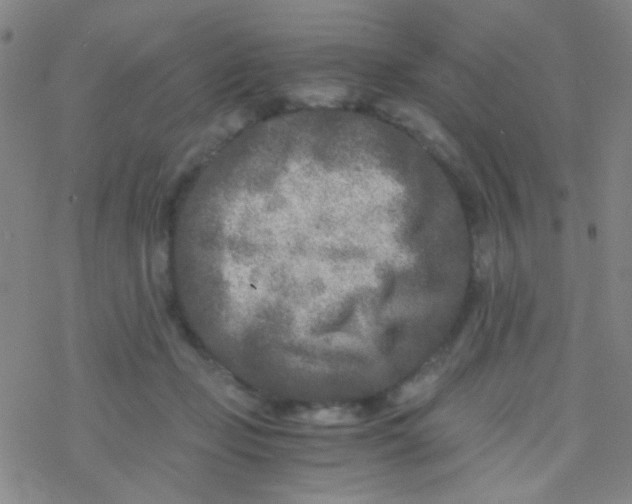 X0000076450365200610271830