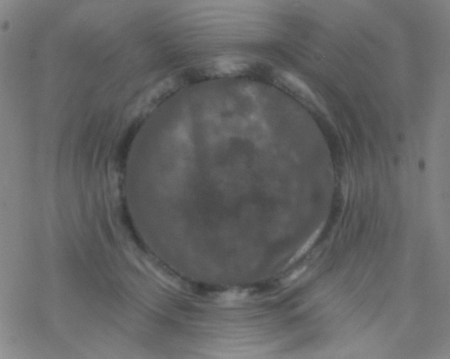 X0000076450366200610271830