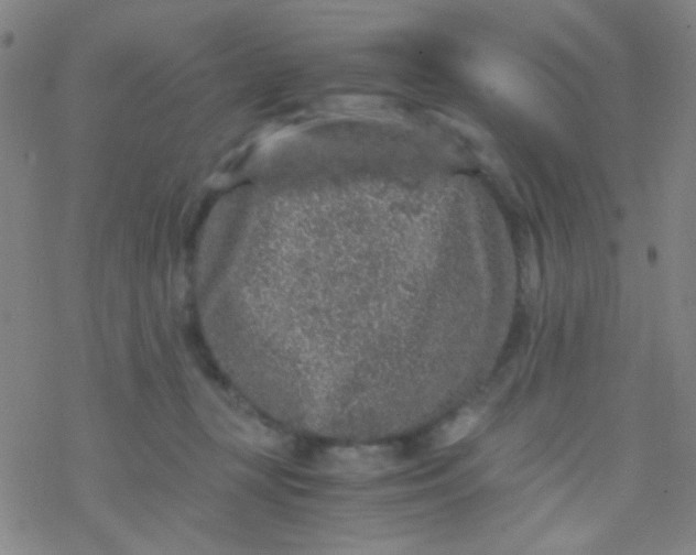 X0000076450367200610271830