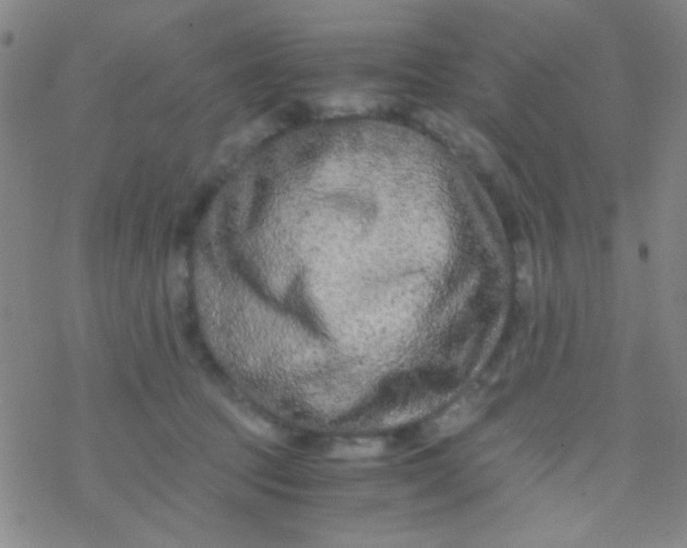 X0000076450369200610271830