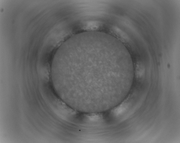 X0000076450370200610271830