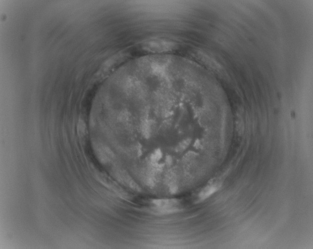 X0000076450371200610271830