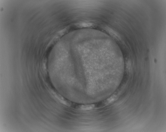 X0000076450373200610271830