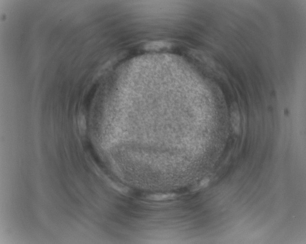 X0000076450375200610271830