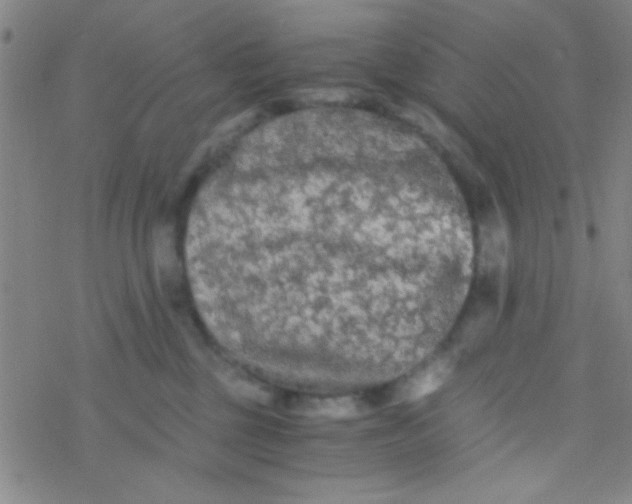 X0000076450377200610271830