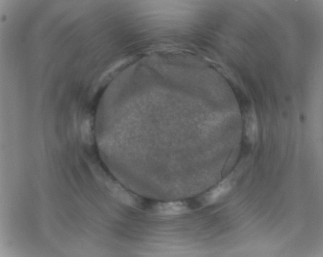 X0000076450378200610271830