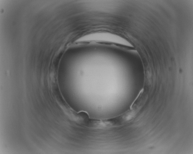 X0000076450379200610271830