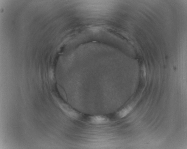 X0000076450380200610271830