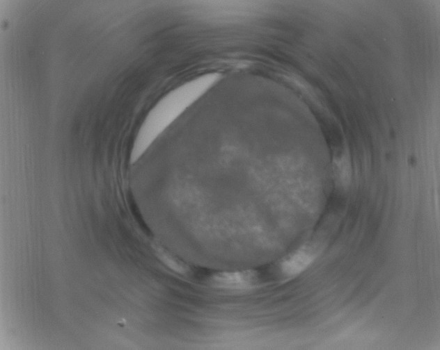 X0000076450381200610271830