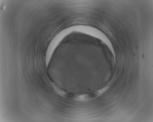 X0000076450382200610271830