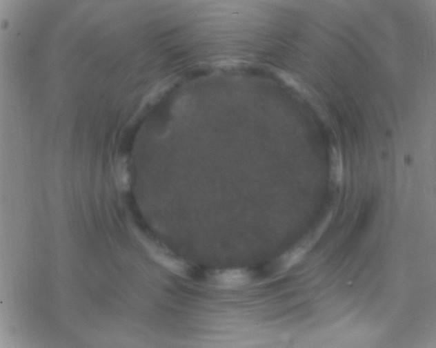 X0000076450383200610271830