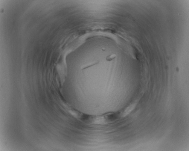 X0000076450384200610271830