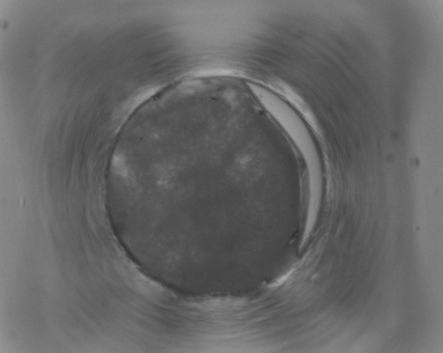 X0000076450385200610271829