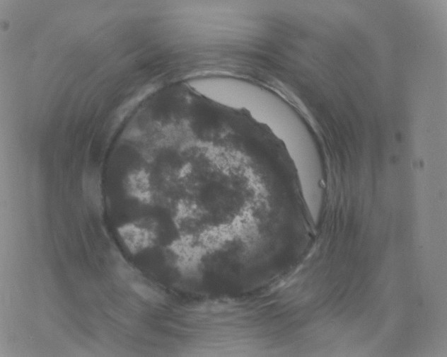 X0000076450386200610271829