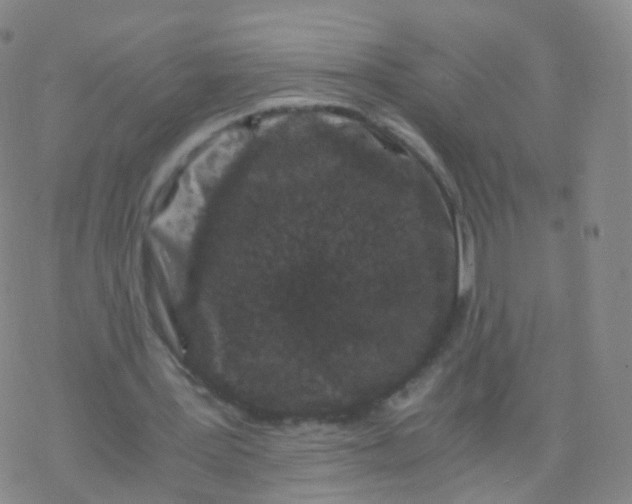 X0000076450387200610271829