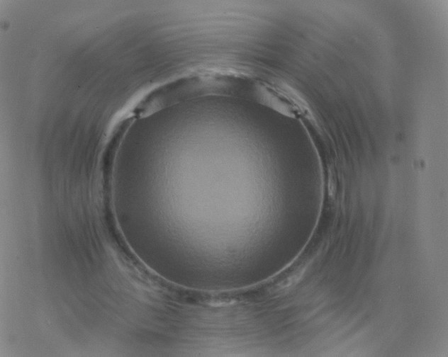 X0000076450388200610271829