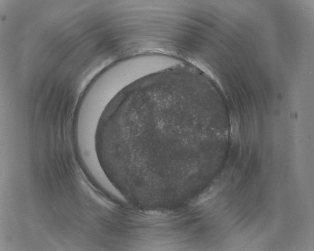 X0000076450390200610271829