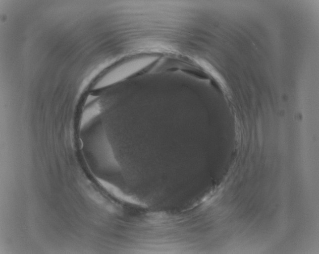 X0000076450391200610271829