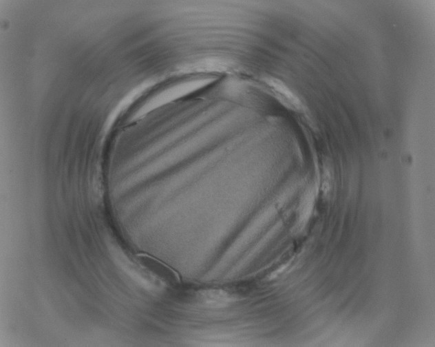 X0000076450392200610271829