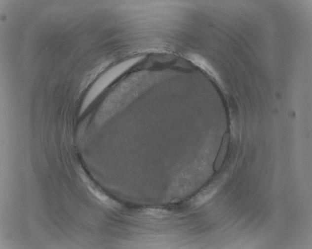 X0000076450393200610271829