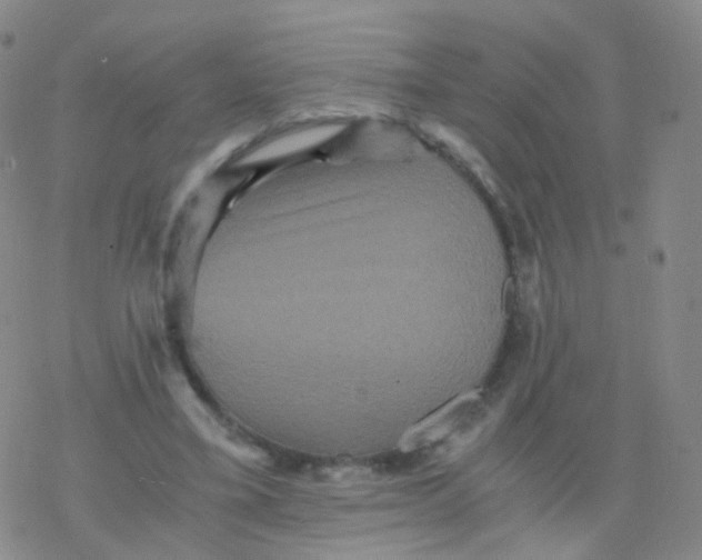 X0000076450395200610271829