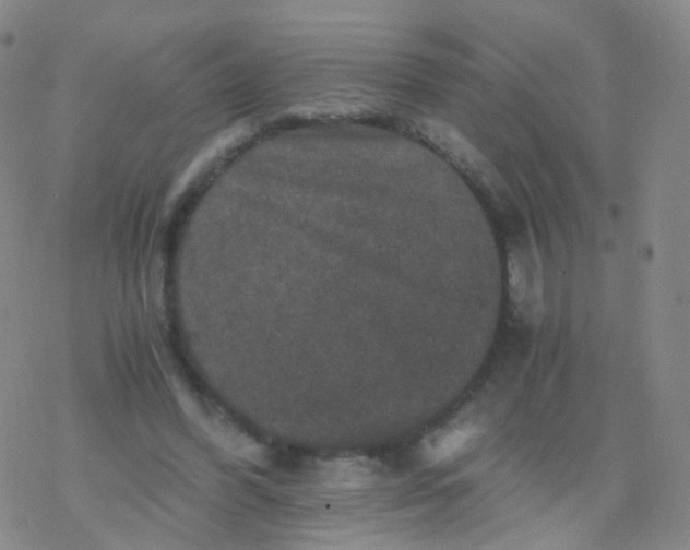 X0000076450396200610271829