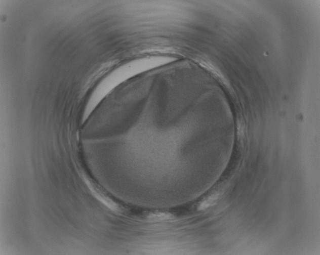 X0000076450397200610271829