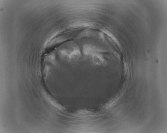 X0000076450399200610271829