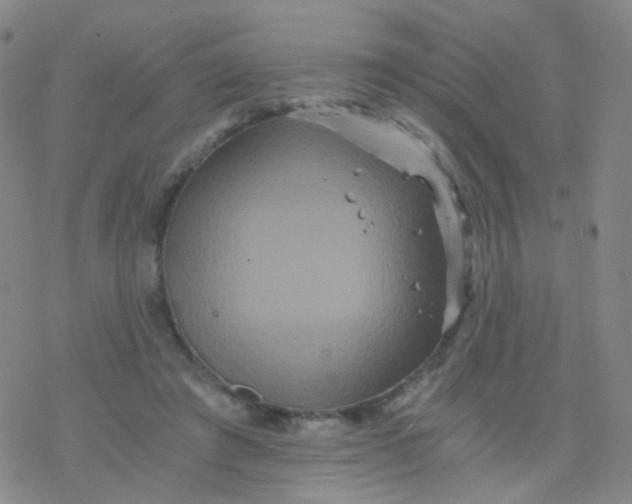 X0000076450401200610271829