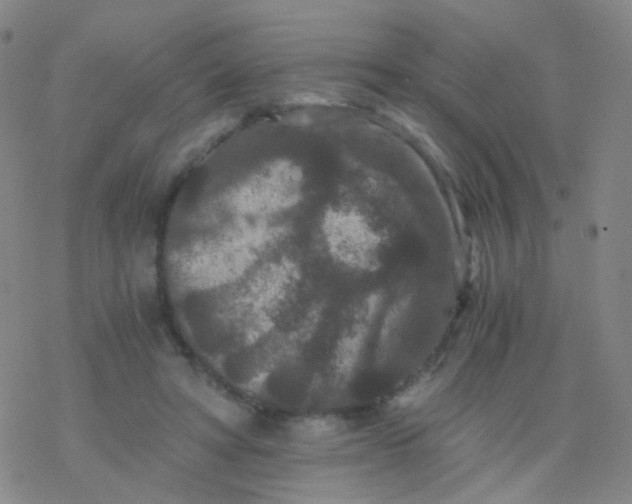 X0000076450402200610271829