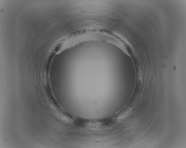 X0000076450403200610271829