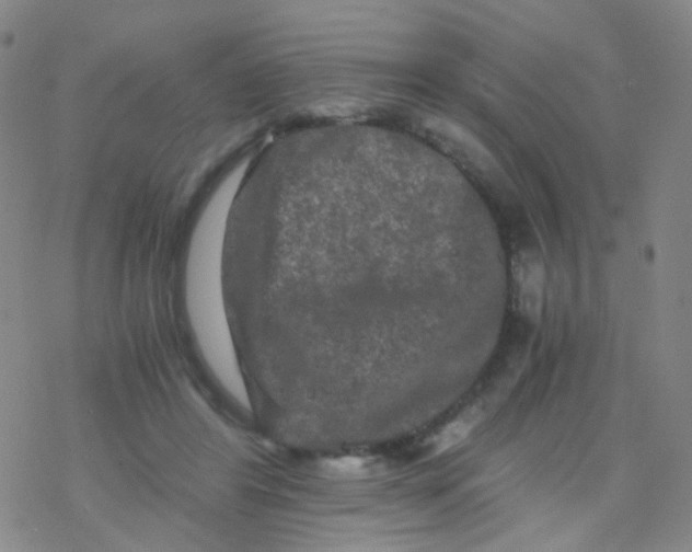 X0000076450404200610271829