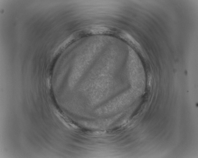 X0000076450405200610271829