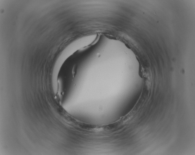 X0000076450406200610271829