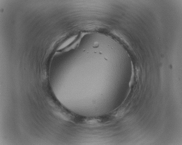 X0000076450407200610271829