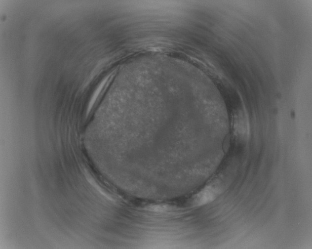 X0000076450408200610271829