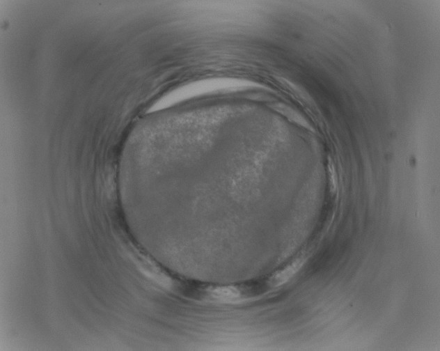 X0000076450409200610271829