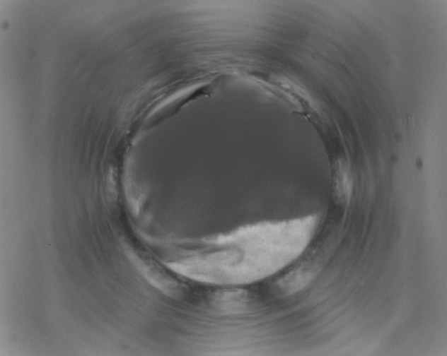 X0000076450410200610271829