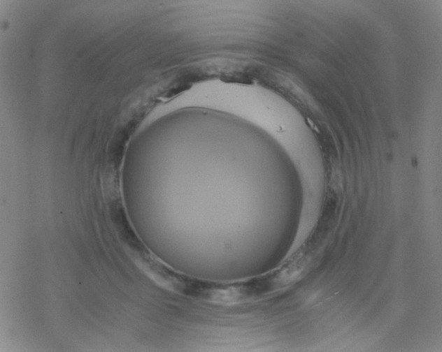 X0000076450411200610271829