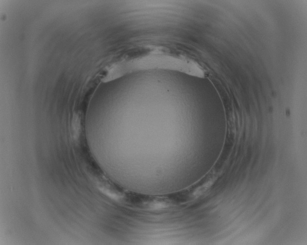 X0000076450412200610271829