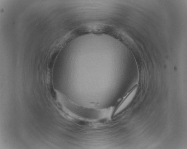 X0000076450413200610271829