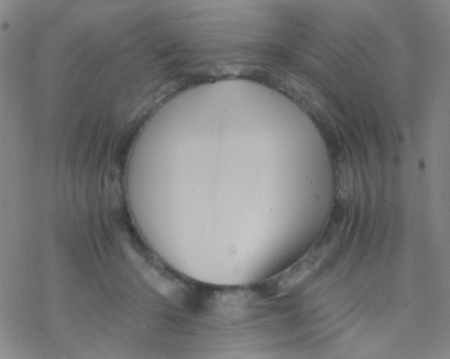 X0000076450414200610271829