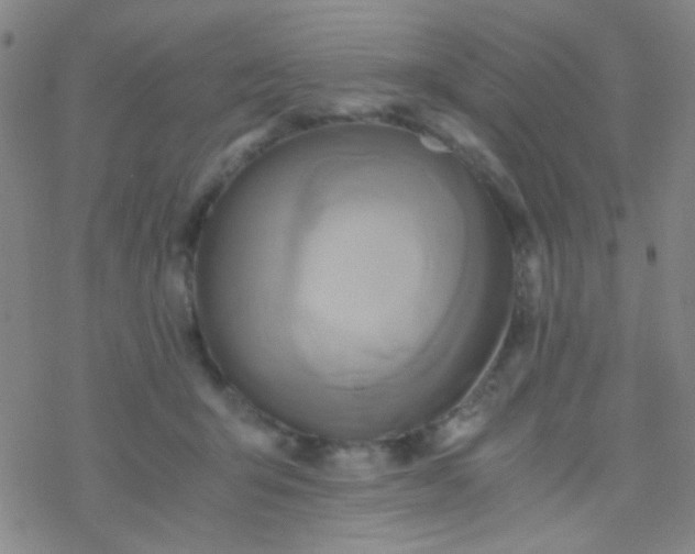 X0000076450415200610271829