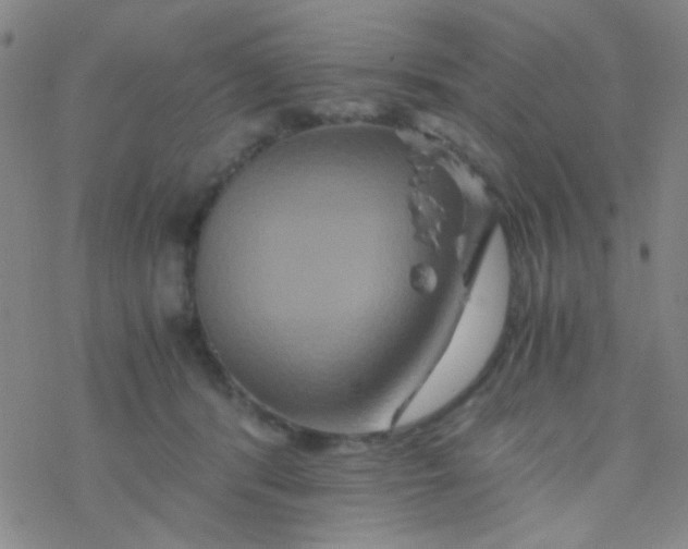 X0000076450416200610271829