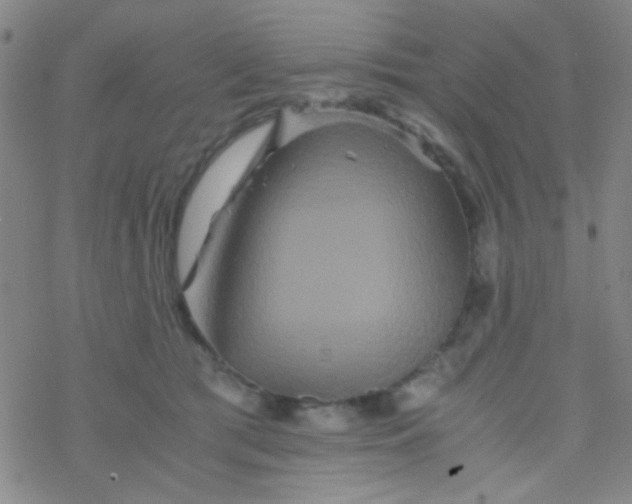 X0000076450417200610271829